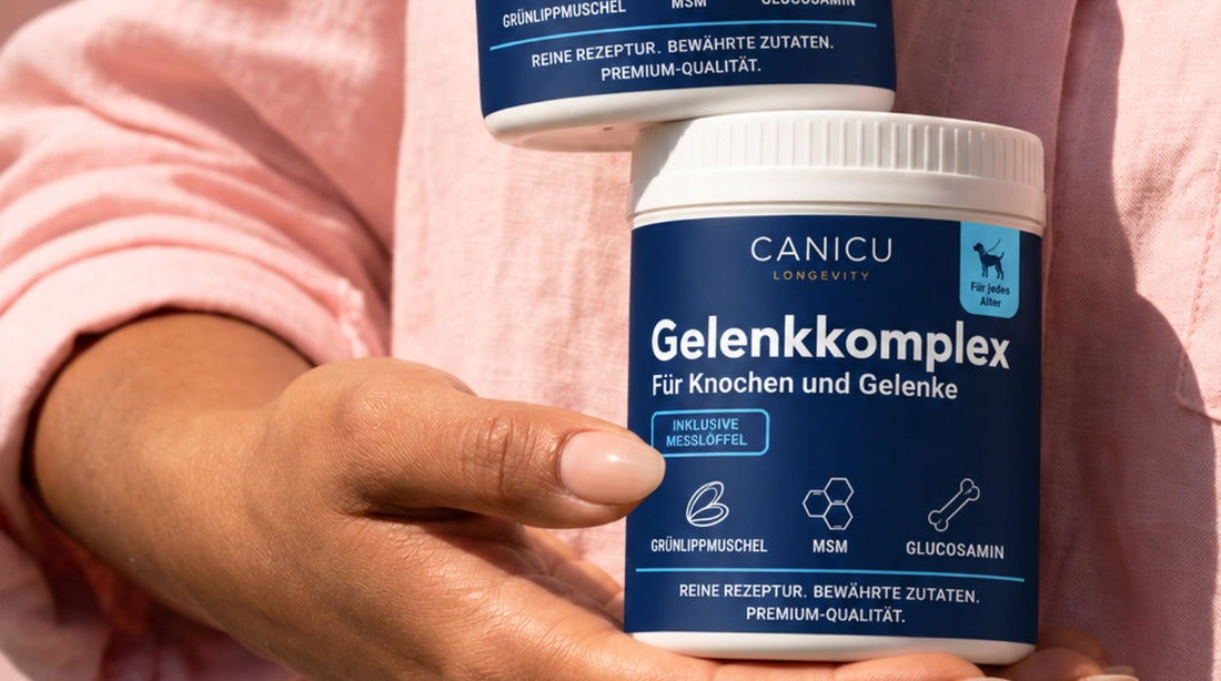 CANICUR: 90 Tage mit CANICUR für deinen Hund