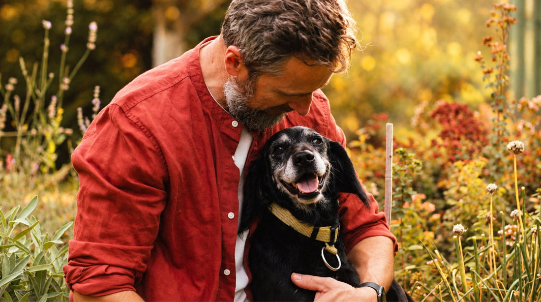 Seniorhund: Was dein Hund im Alter wirklich braucht