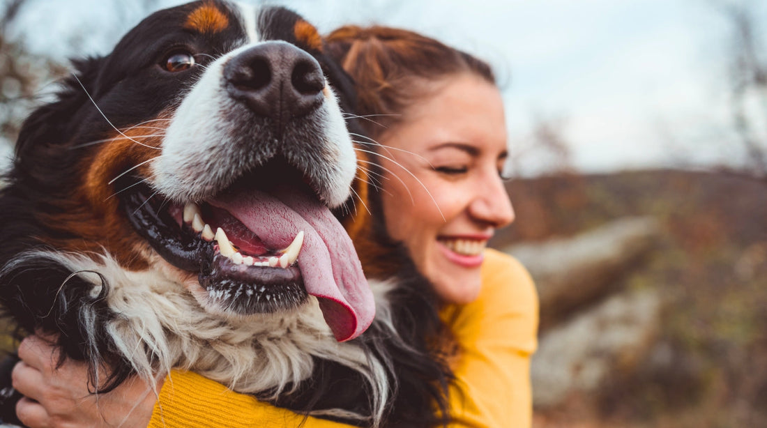 Bindung zum Hund stärken: 7 Tipps für mehr Vertrauen