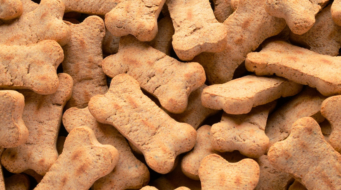 Wie viele Leckerlis darf ein Hund am Tag bekommen?
