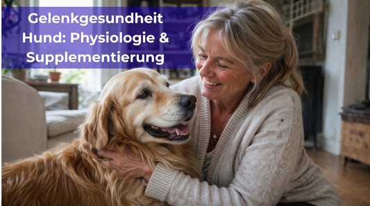 Gelenkgesundheit beim Hund – Physiologie & Supplementierung