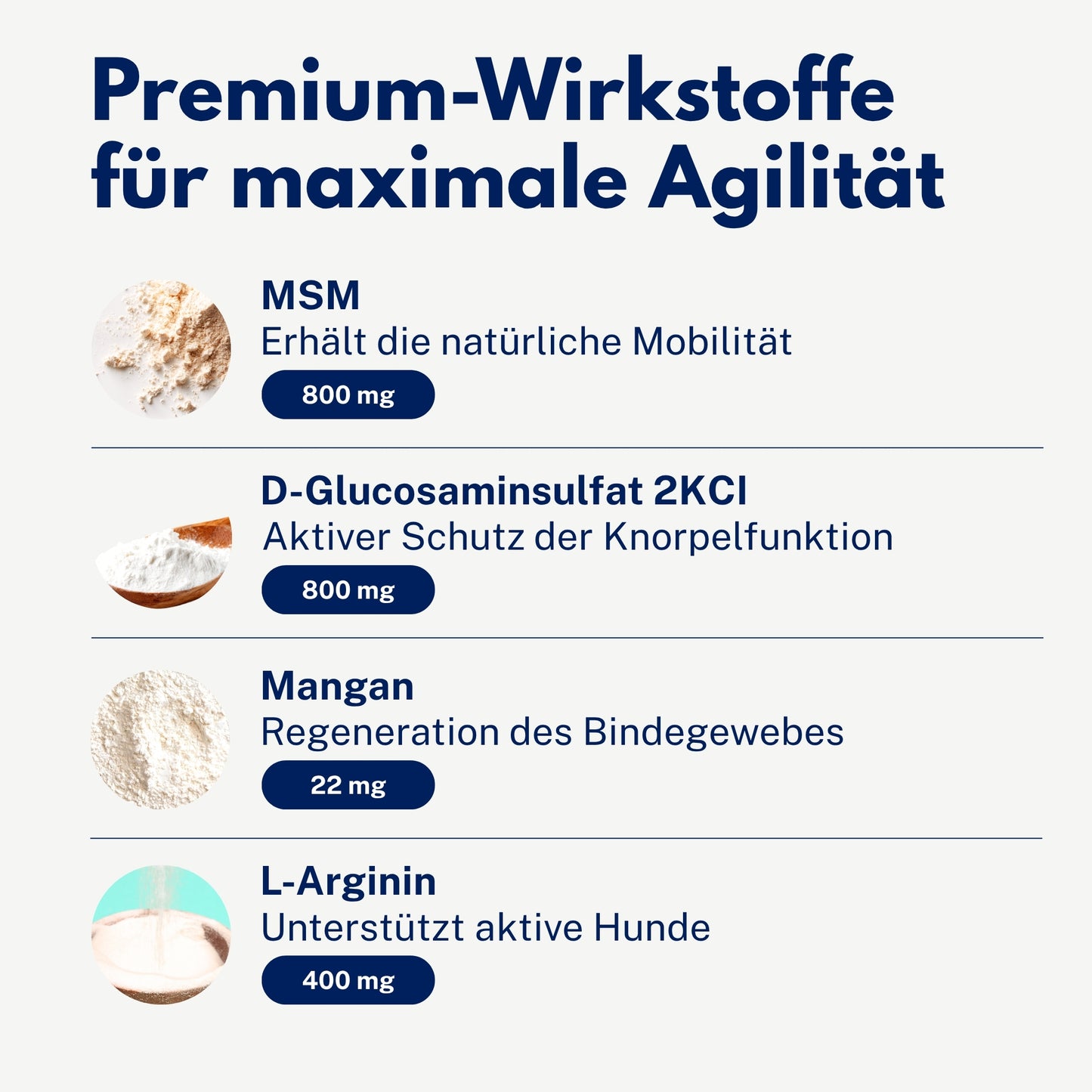 Gelenkaktiv – Präzise Unterstützung für gesunde Knochen & Gelenke bei Junghunden (18 Monate – 6 Jahre)