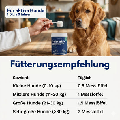 Gelenkaktiv – Präzise Unterstützung für gesunde Knochen & Gelenke bei Junghunden (18 Monate – 6 Jahre)