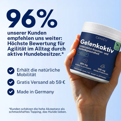 Gelenkaktiv – Präzise Unterstützung für gesunde Knochen & Gelenke bei Junghunden (18 Monate – 6 Jahre)