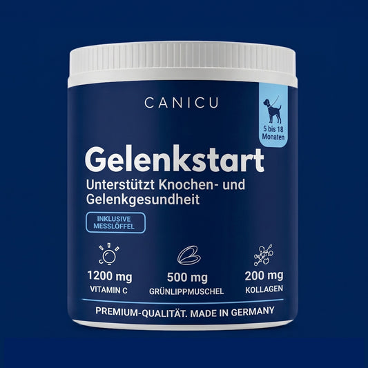 Gelenkstart –für Junghunde (5–18 Monate)