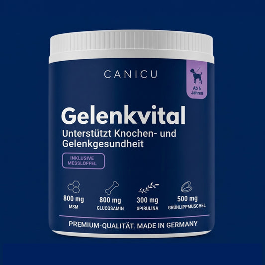 Gelenkvital – für Longevity ab 6 Jahre